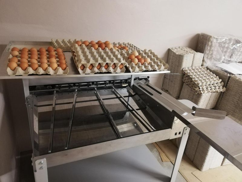 Egg grader ES300