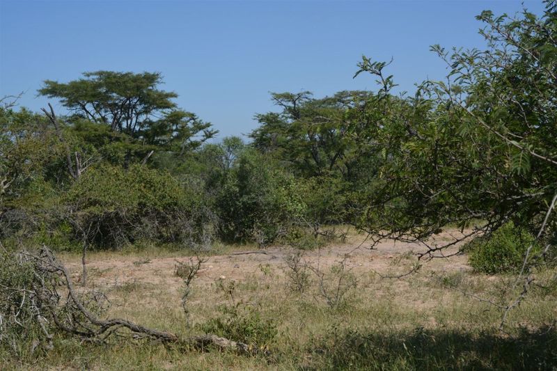 Vacant Land in MODITLO NATURE RESERVE