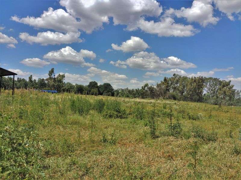 Small holding of 5.9 hectares in Bronkhorstspruit