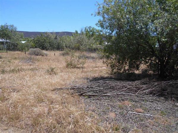 Land in Mcgregor For Sale