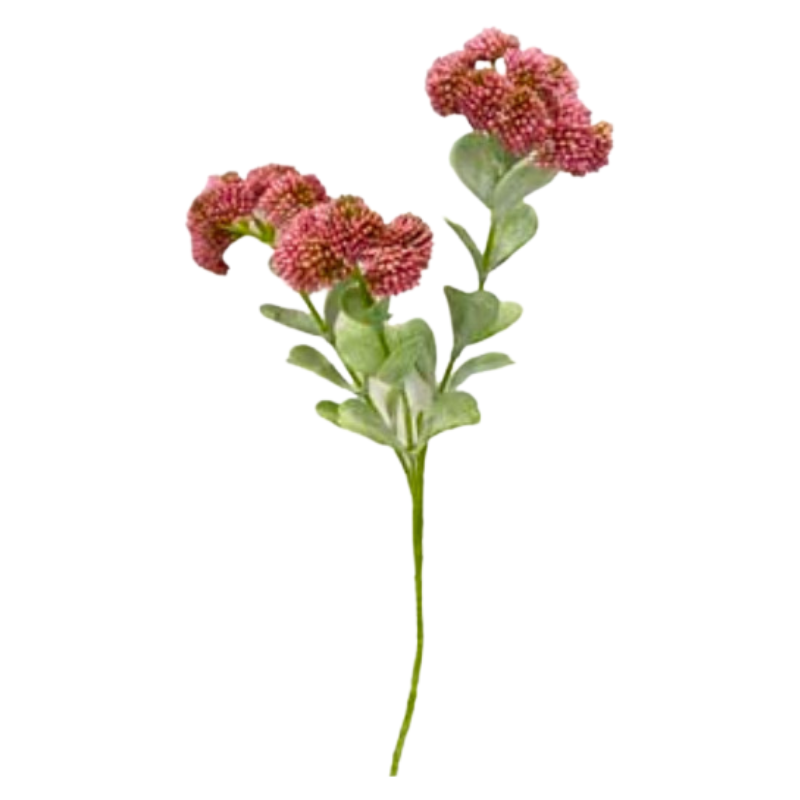 Toolhome Blossoms - Sedum - Pink (Pack of 12 Sprays) - 56cm