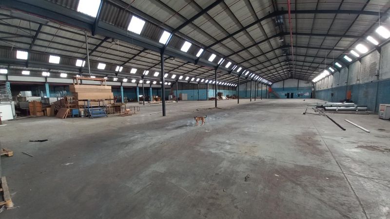 Rare find to let in Brackenfell industrial