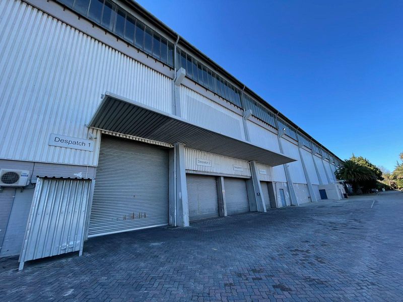 CENTRAL PARK | WAREHOUSE / FACTORY FOR RENT ON EPPING AVENUE, ELSIES RIVER