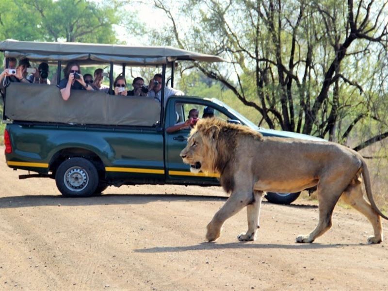 3 Night, 4 Day Tremisana Lodge Kruger Safari