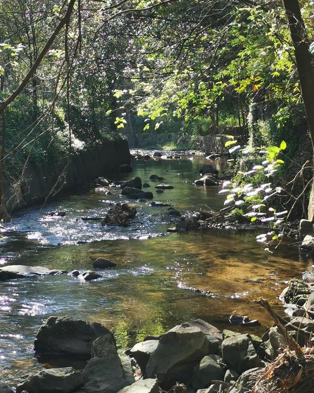 Wedding Venue Cape Town for a Private Event, Party or Function in Newlands, Cape Town!