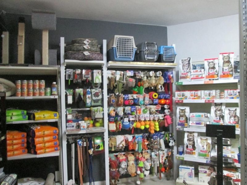 PET FOOD STORE / FOOD AND ACCESSORIES R665  000