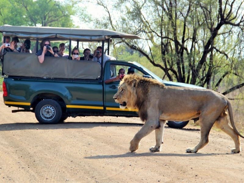 3 Night, 4 Day Tented Lodge Kruger Safari