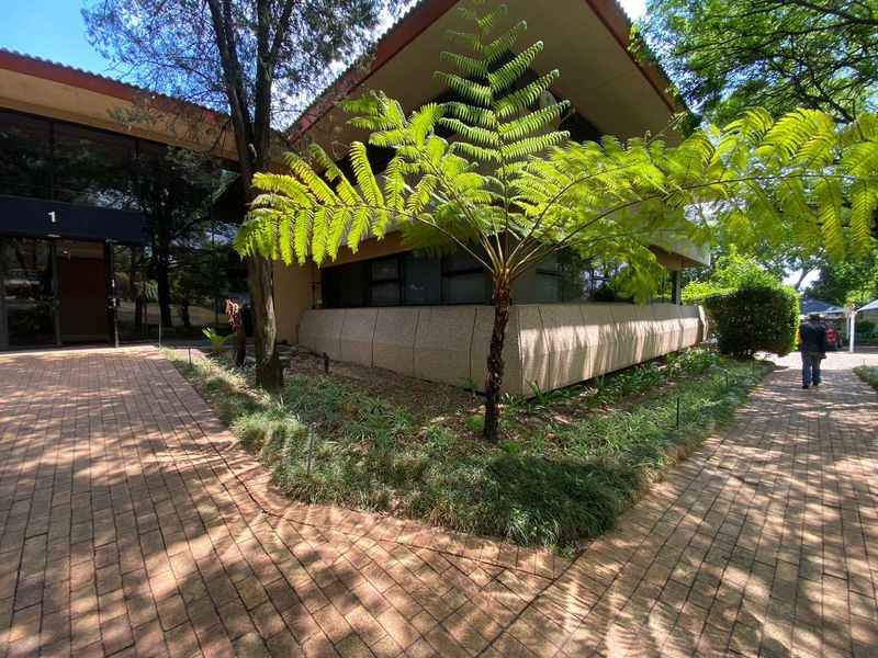 Prime commercial office available for rental in the Sandton CBD node.