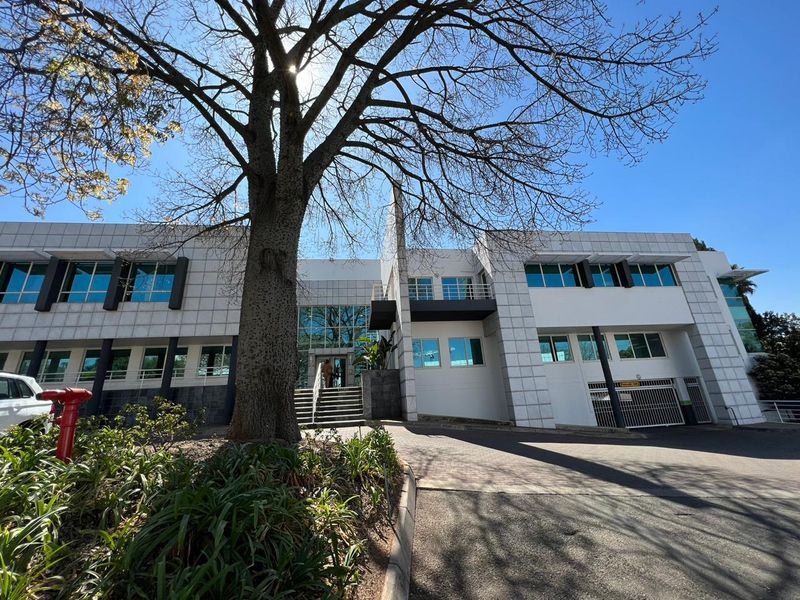 Immaculate Office Space To Let in Sandton | 150 Rivonia Road | Sandton Central