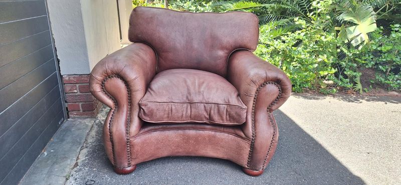 Large Van den Bergh Kudu Leather Couch Tabatha Single Seater R28900 new cost