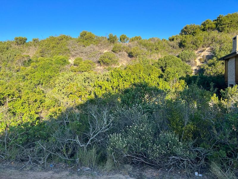 Exiting large erf covered with hundreds of indigenes trees and scrubs