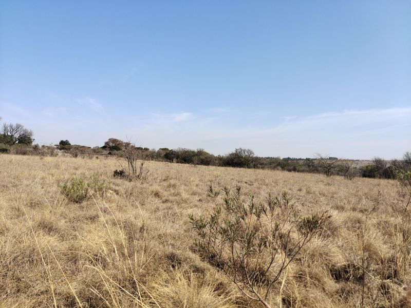 5 Ha Vacant land with Electric fencing