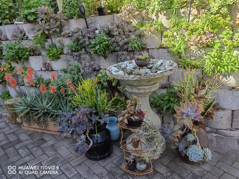 Nothing to be said, just walk in and enjoy this Canal  Home