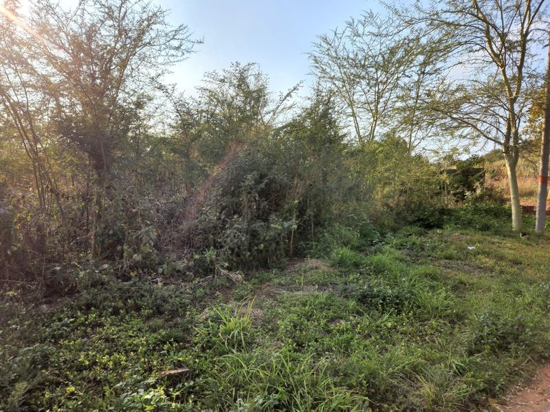 Land in Cashan For Sale
