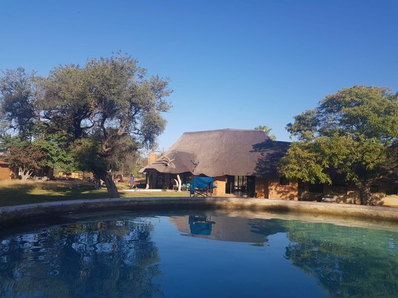 Stand For Sale in Swartwater