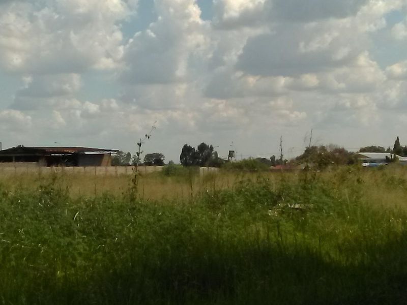Vacant land for sale next to the high school in Meyerton kookrus.