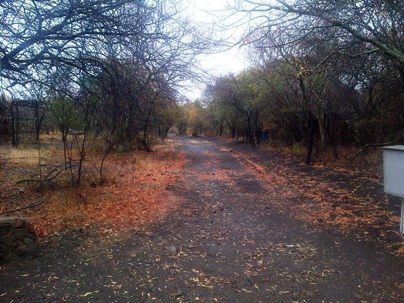 Umbabala Bush Camp