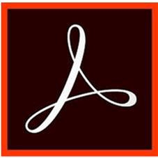 Adobe Acrobat Standard DC Single-license Subscription Multilingual 65297920BA01A12-11M - Brand New