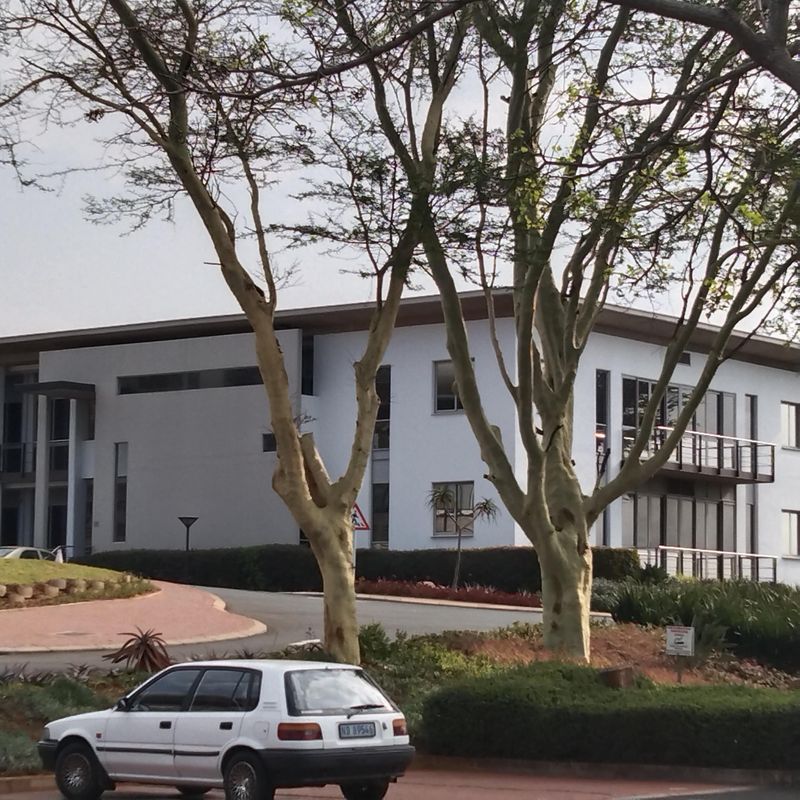 LaLucia Umhlanga Durban double a grade corporate offices 580 sq m to rent