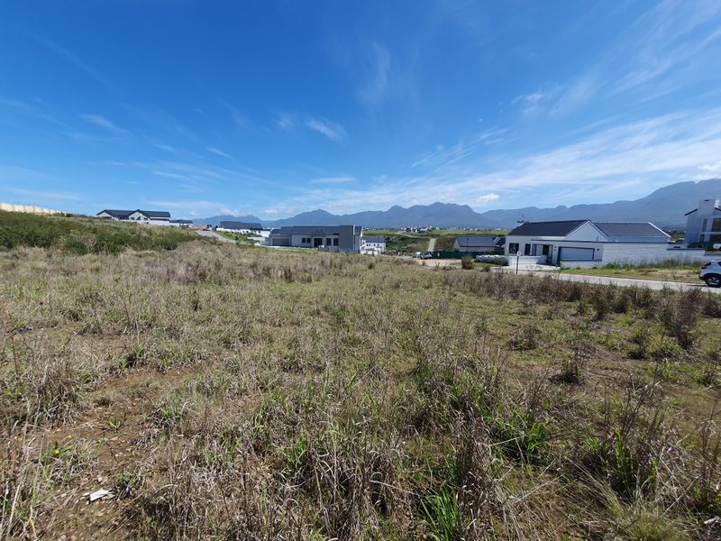 Invest or build your dream home on this spectacular vacant Land in Phase 4