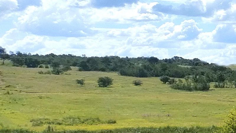 Vacant land on a portion near Highveld Steel
