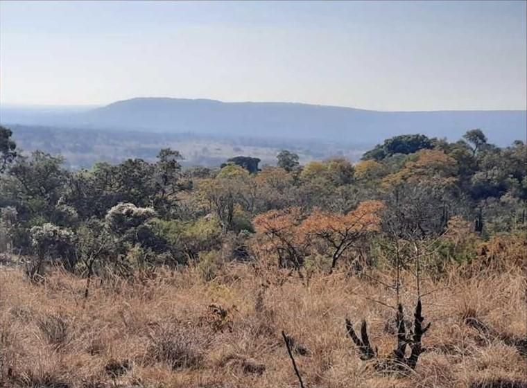 6ha Undeveloped Wilderness In Wildlife Protected Area With Natural Roaming Game Animals Suitable ...