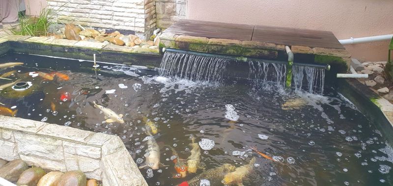 5 LOVELY FURNISHED SELF CATERING GUEST HOUSE APARTMENTS  WITH POOL DSTV INTERNET