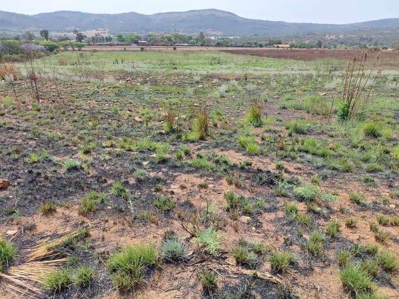 4.7 HECTARES VACANT LAND FOR SALE IN ELANDSPOORT AH