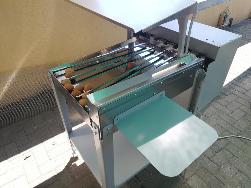 Egg grader ES150