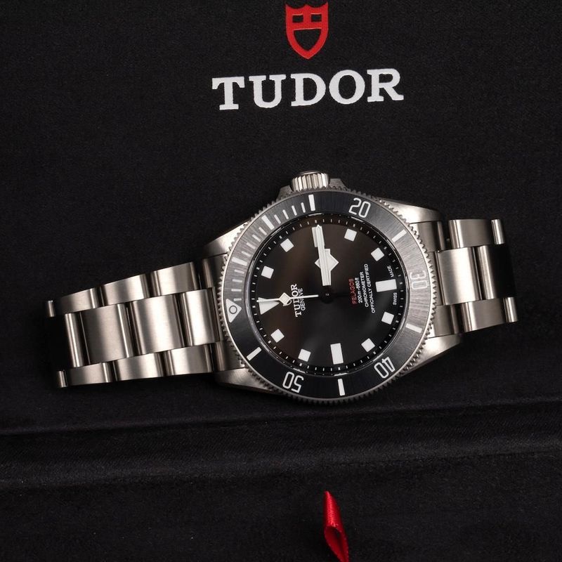 TOPWATCH - Tudor Pelagos
