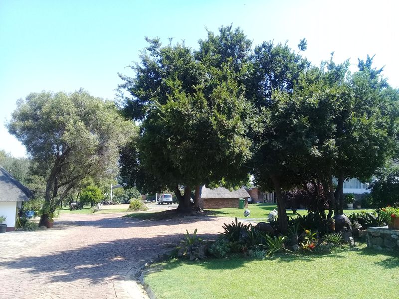 Huge Piece of Prime Land For Sale In Mnandi