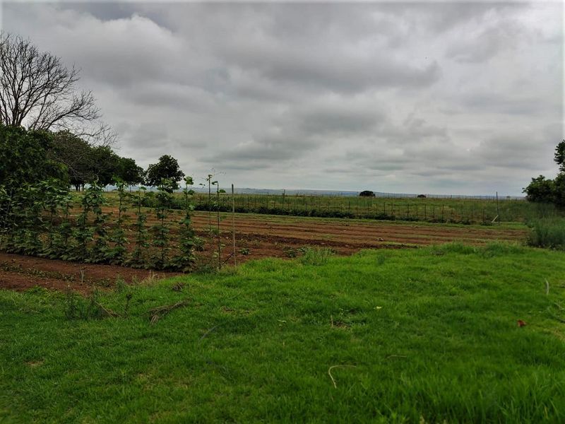 2.6 hectare agricultural holding with lots of potential