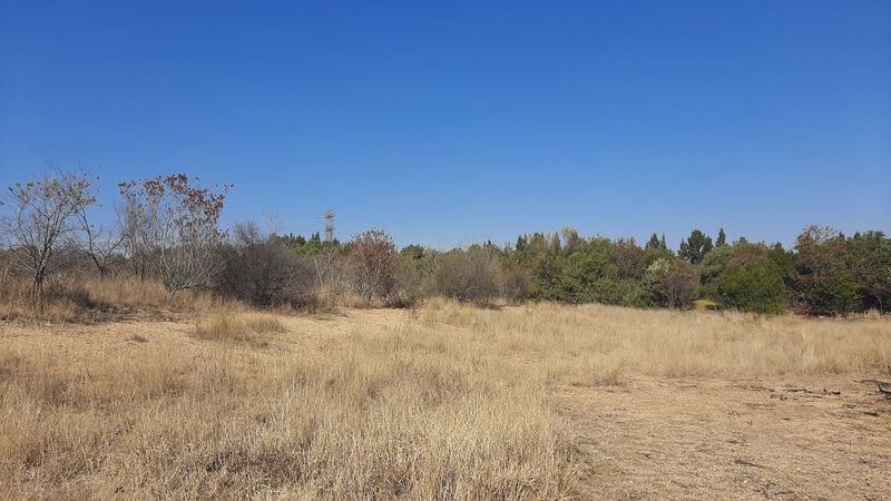 VACANT LAND IN STEYN CITY