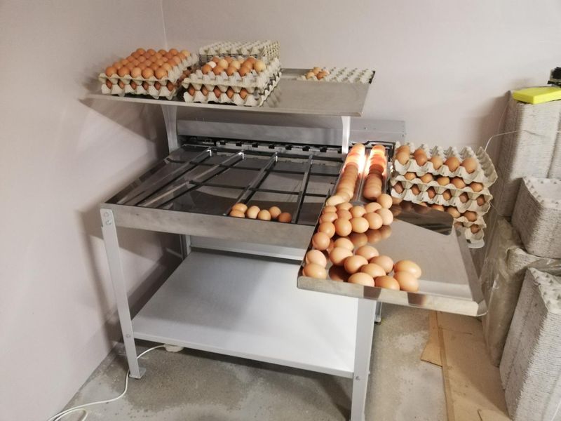 Egg grader ES300