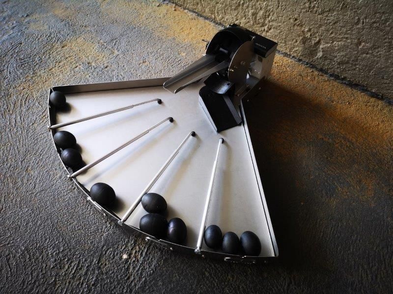 Egg Sorting Machines