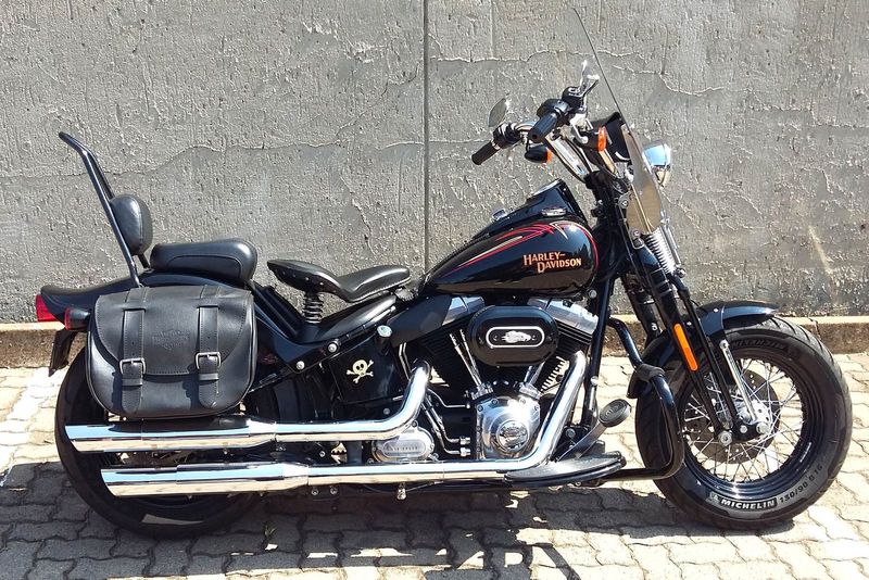 Stunning Harley Davidson Crossbones!
