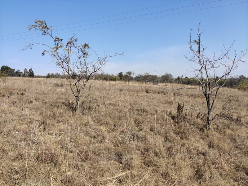 4.46 Ha of pure Bushveld atmosphere land with endless potential