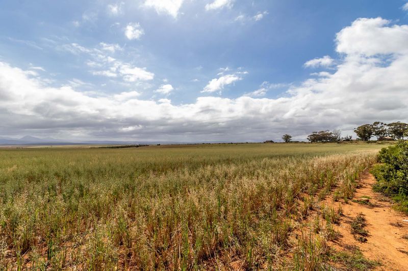 High Potential Sowing and Livestock Farm near Albertinia &amp; Riversdale