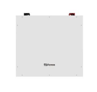 5KW Dyness Lithium Battery