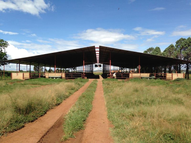 FARM FOR SALE TARLTON, 92 Ha