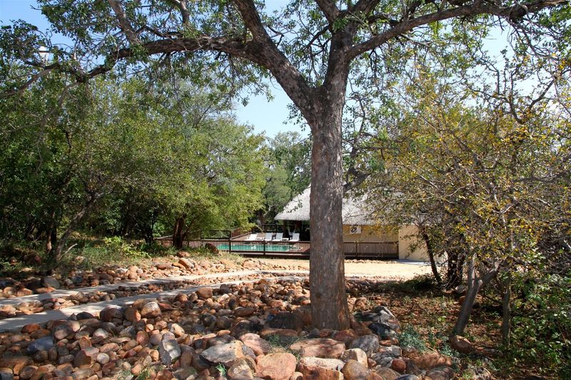 Beautiful home overlooks the wilderness area in Blyde Wildlife Estate