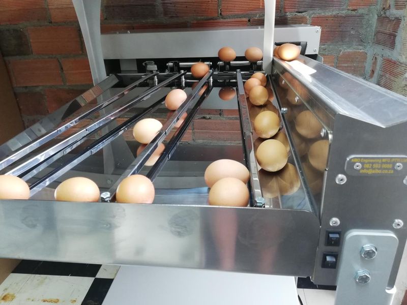 Egg grader ES150