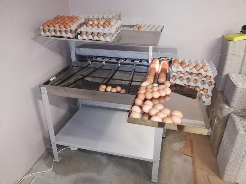 Egg grader ES450