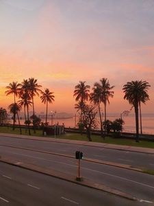 Arnleigh Court  – Beautifully Renovated 1.5 Bedroom Apartment For Sale 649 000-00