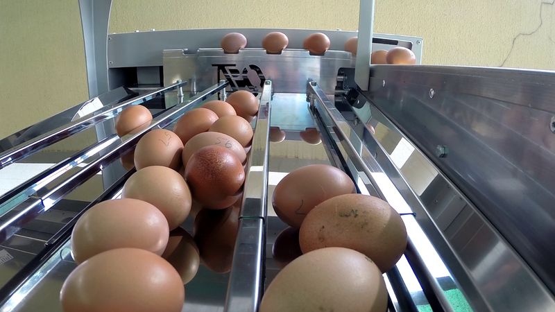 Egg grader ES150