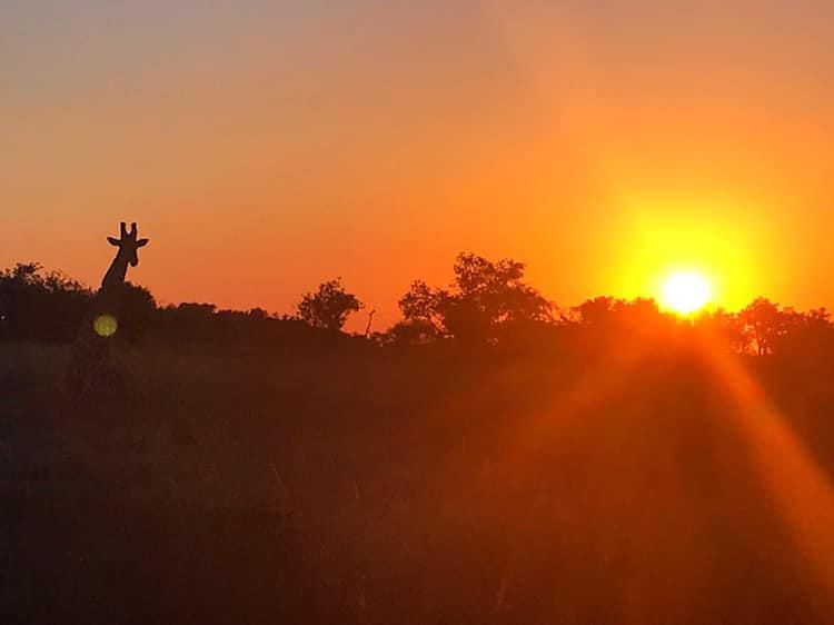 4 STAR LODGE IN BIG FIVE RESERVE