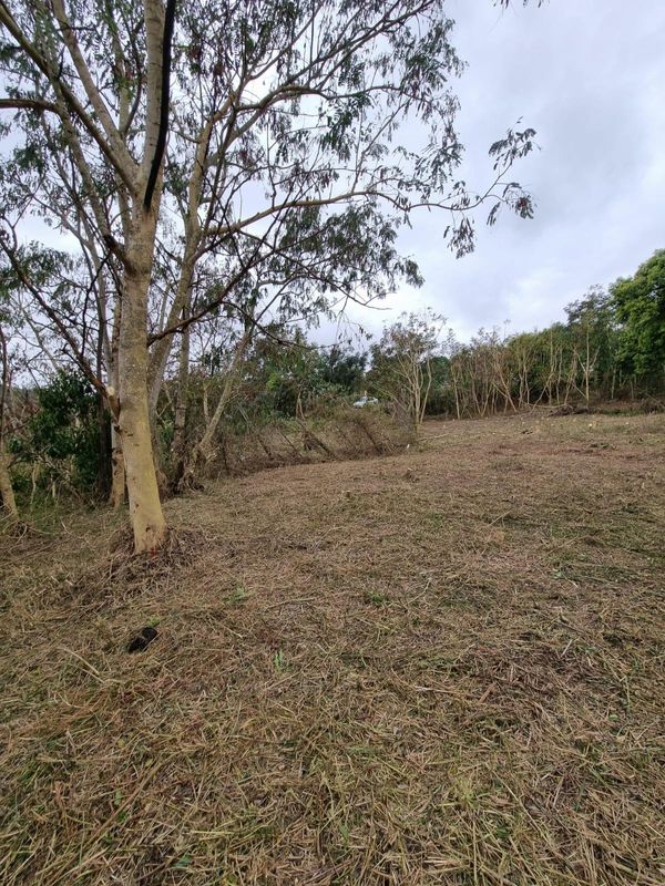 Vacant land for grabs in Verulam