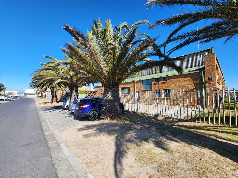 Montague Gardens | Warehouse To Rent in Marconi Road