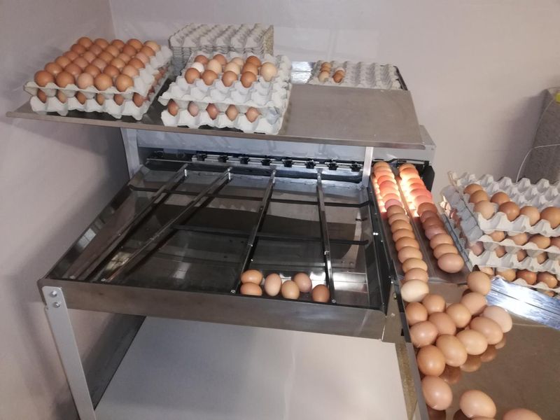 Egg Grading machine