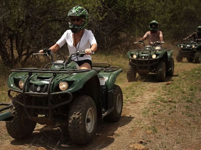 aha Ivory Tree Game Lodge